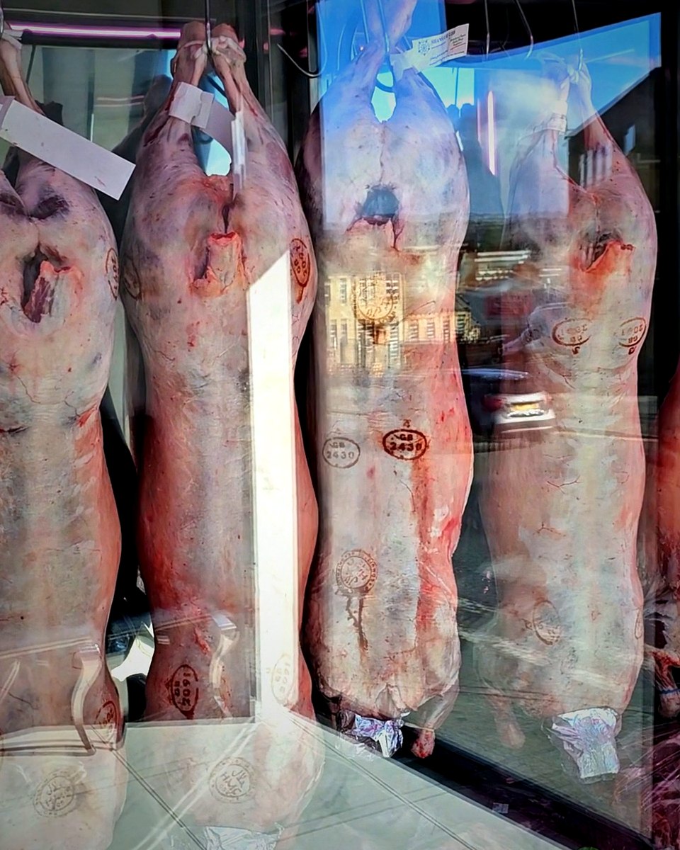 HMC-certified lamb carcasses hanging in the chiller, Ikhlas Halal Butcher, Bradford
