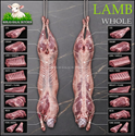 Halal whole lamb, Ikhlas Halal Butcher, Bradford