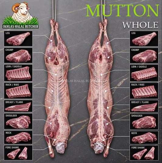 Qurbani sheep, HMC certified, Ikhlas Halal Butcher Bradford